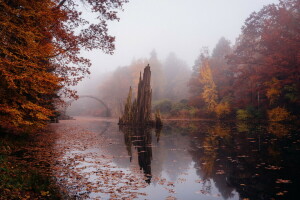 가을, 다리, 강