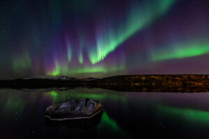 晚, 北极光, 挪威, 星星