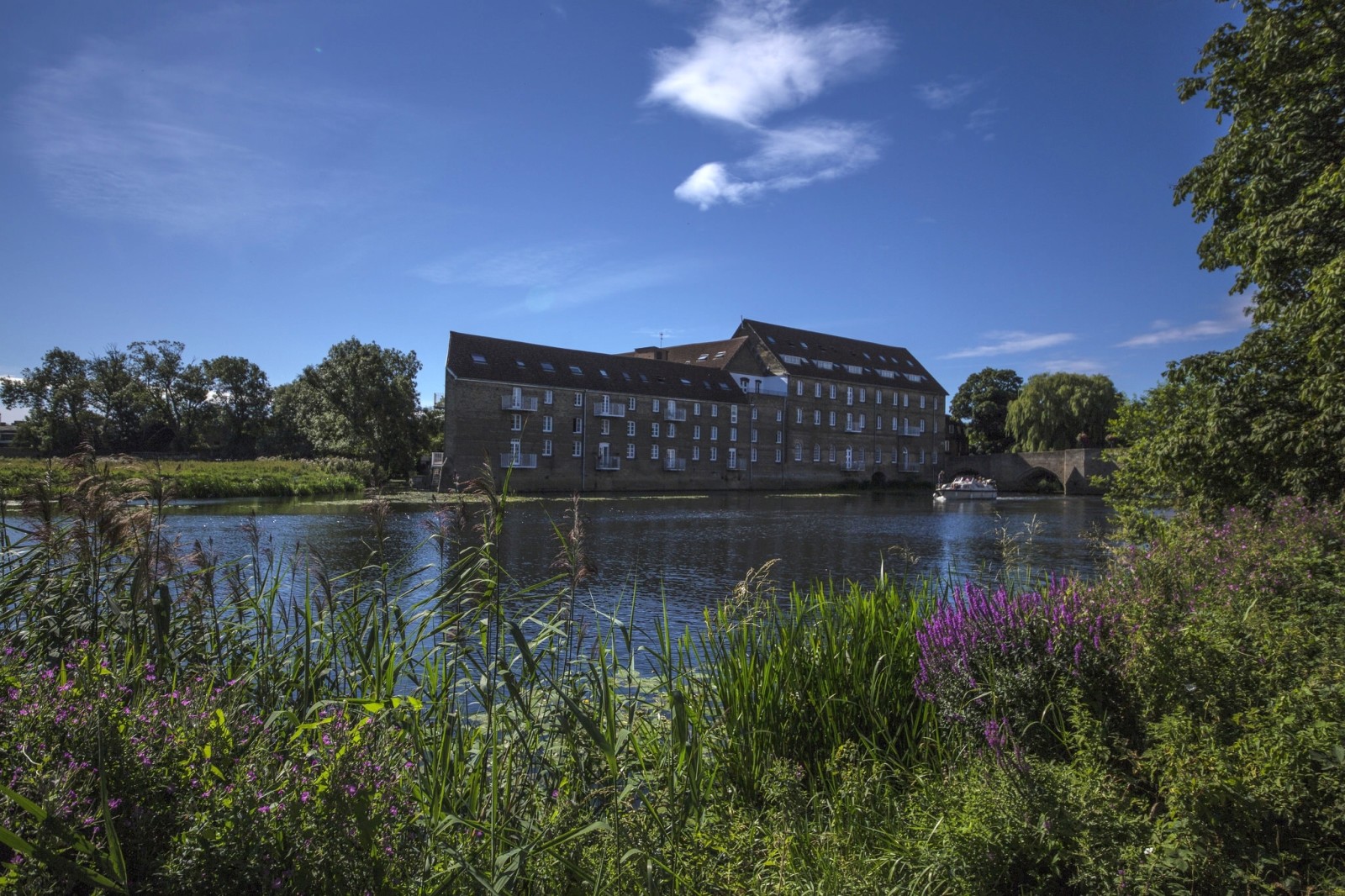 bangunan, sungai, buluh, perahu, Inggris, vegetasi, Cambridgeshire, River Great Ouse