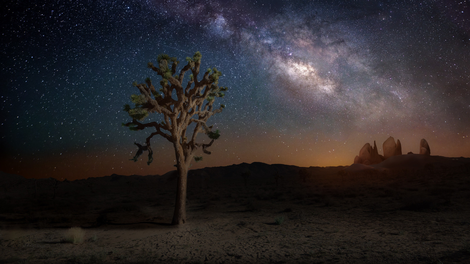 나무, 자연, 하늘, 밤, 별, 캘리포니아, 은하수