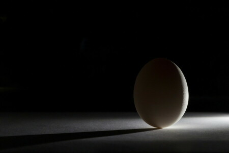 卵, 形, 光, 影