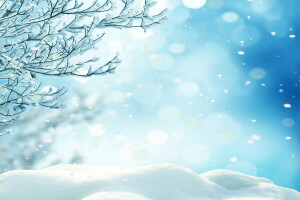 森林, 自然, 雪, 雪花, 树木, 冬季