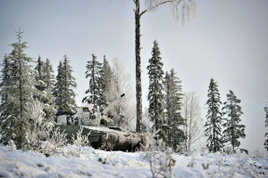 Tentara, senjata, musim dingin
