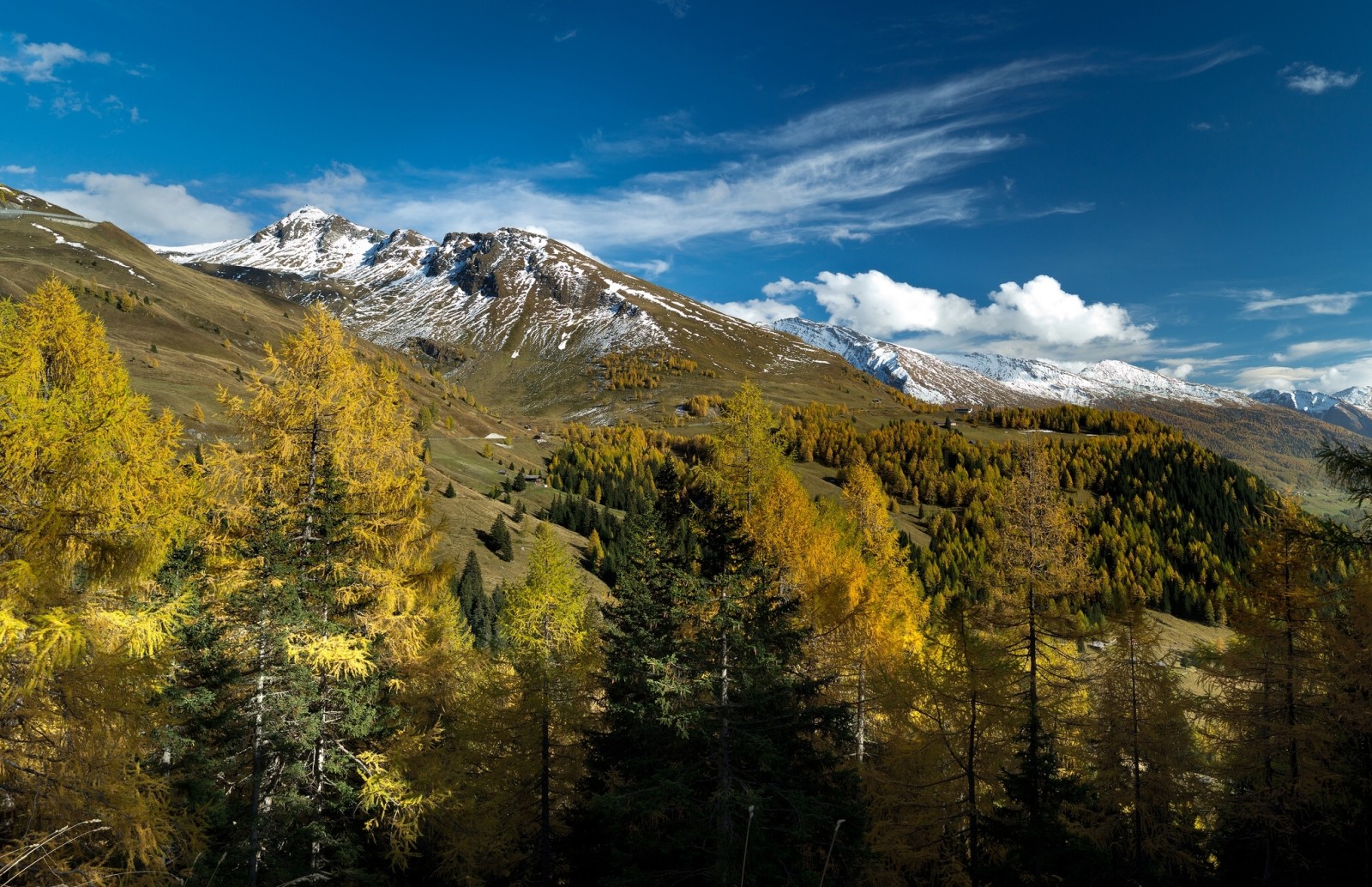 가을, 나무, 산, 오스트리아, 잘츠부르크, 알프스 산맥, 젤은 참조