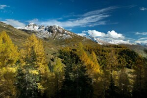 Dãy núi Alps, Áo, mùa thu, núi, Salzburg, cây, Zell đang xem