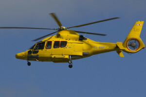 EC155B1, 헬리콥터, 다목적