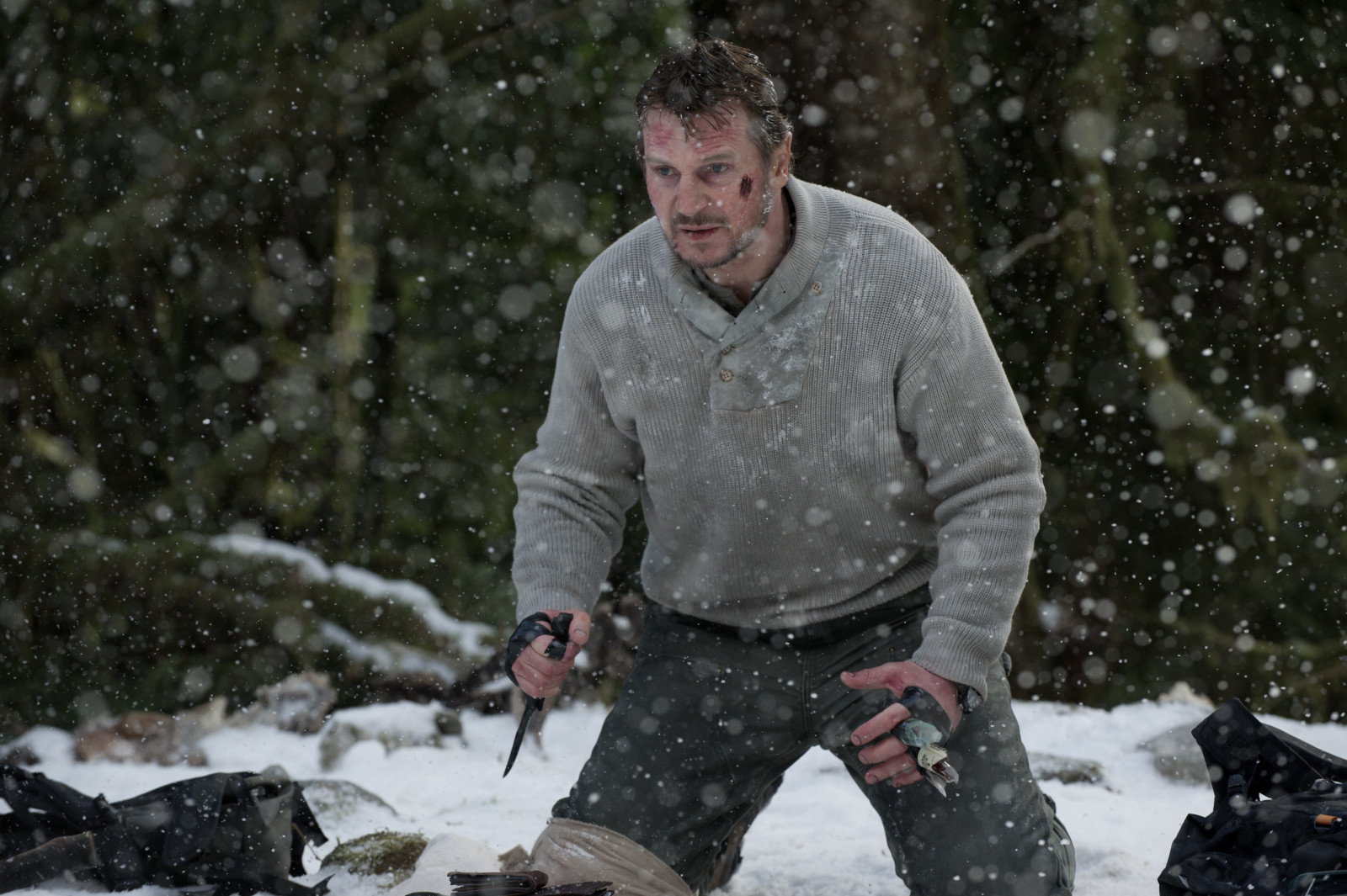 tuyết, rừng, khung, mùa đông, dao, Đánh nhau, Liam Neeson, Màu xám