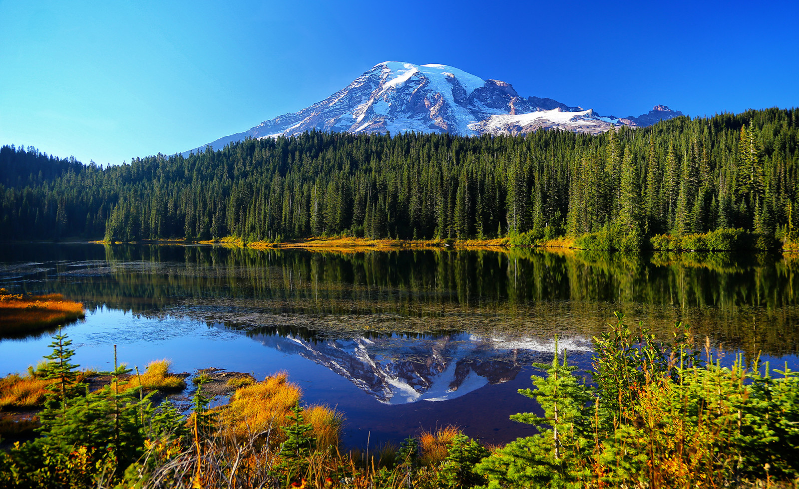 musim gugur, hutan, danau, refleksi, pohon, gunung, air, Taman Nasional Gunung Rainier