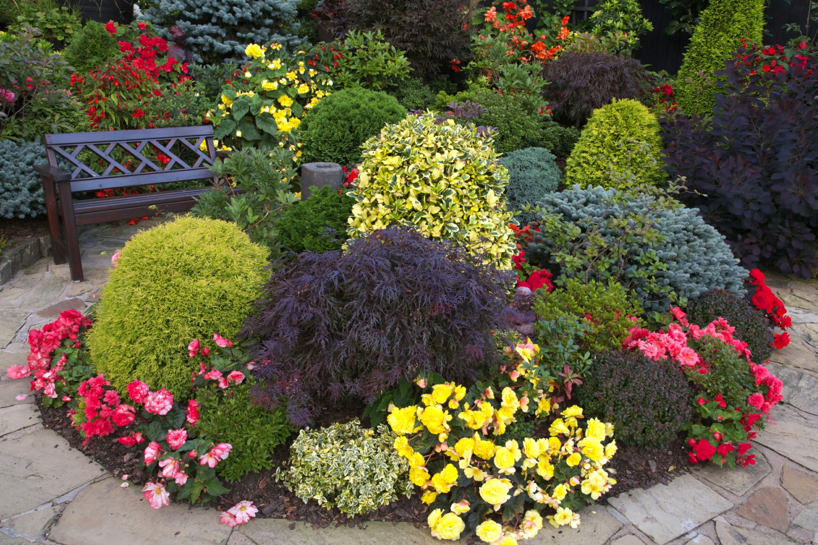 花卉, 多彩的, 跟踪, 花园, 花床, 灌木丛, 板凳, 秋海棠