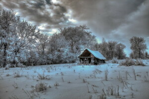 雲, 家, 自然, 写真, 雪, 冬