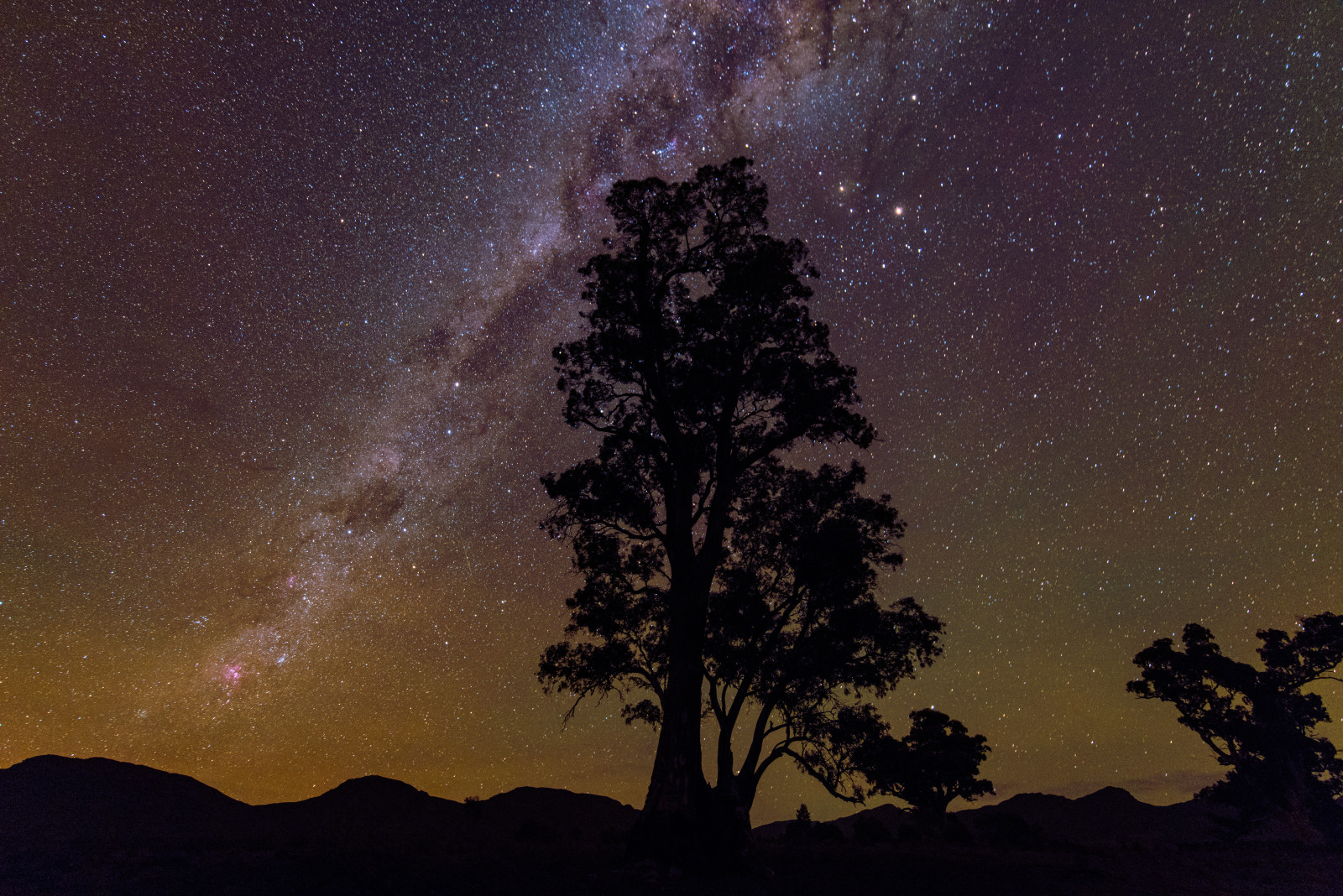 树, 美容, 星星, 银河