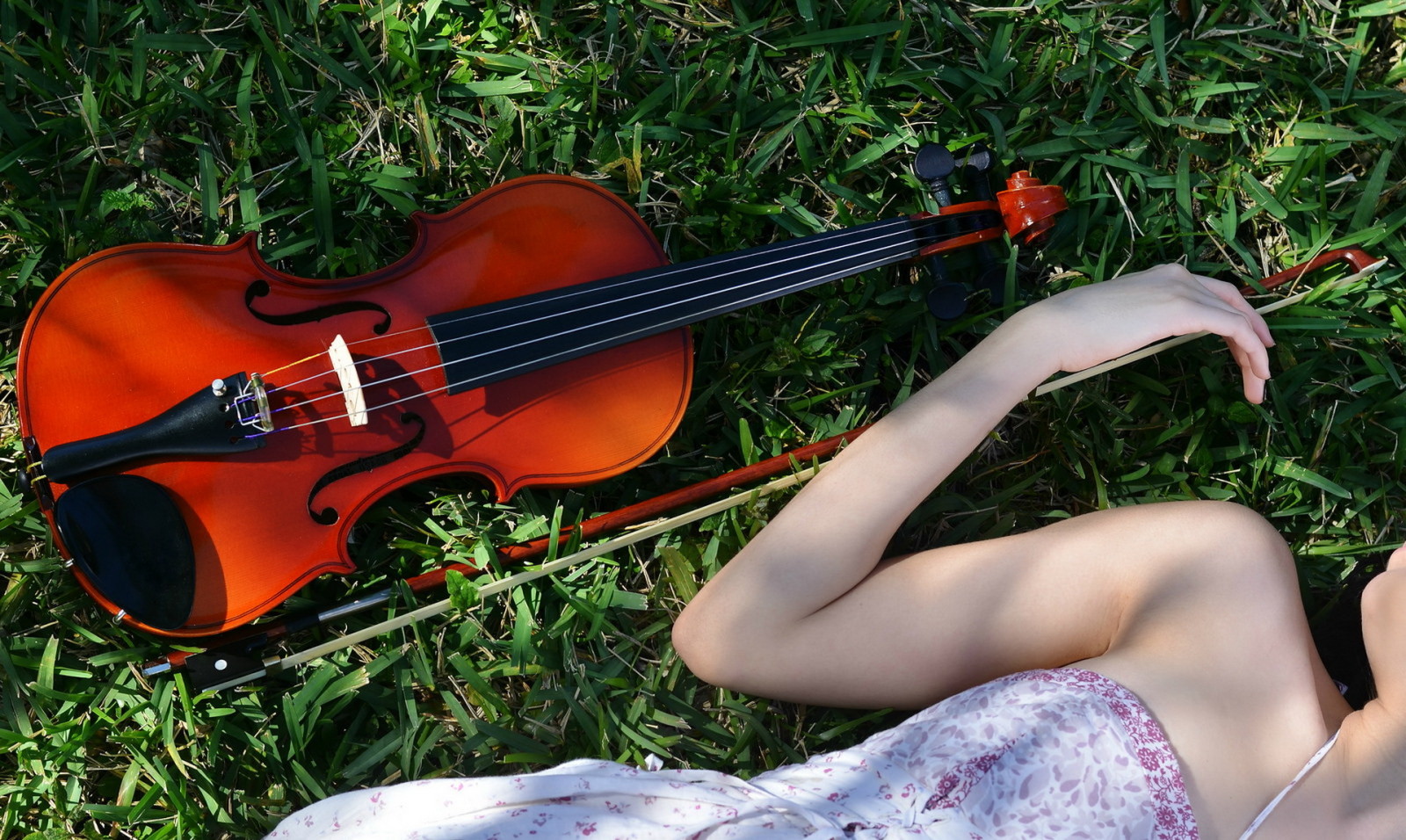 女の子, 音楽, バイオリン
