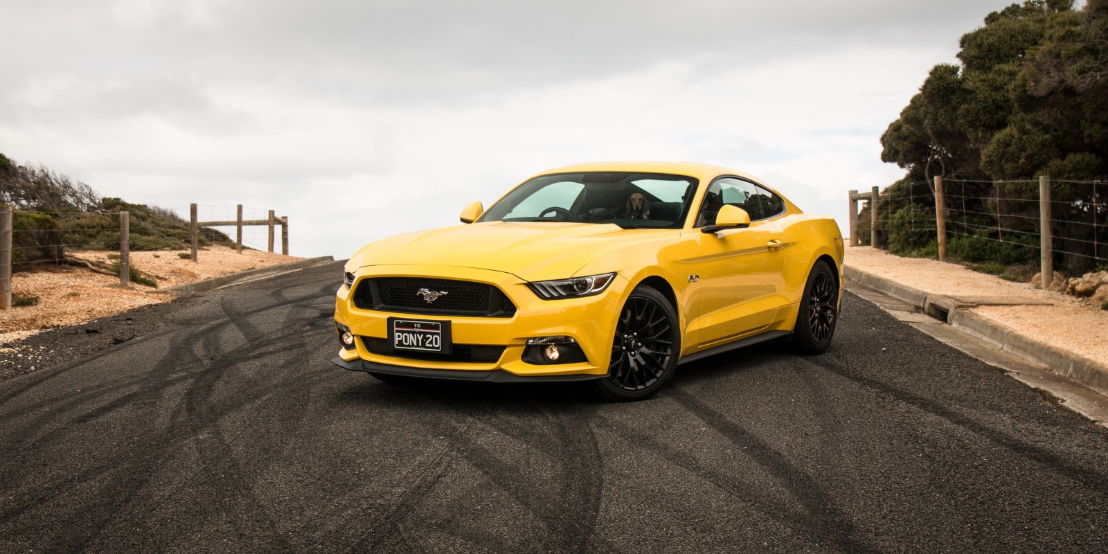 màu vàng, Mustang, Ford