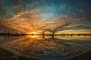 オーストラリア, キャンベルの沼, ヤンガン湖, 風景, 自然, 川, 日没