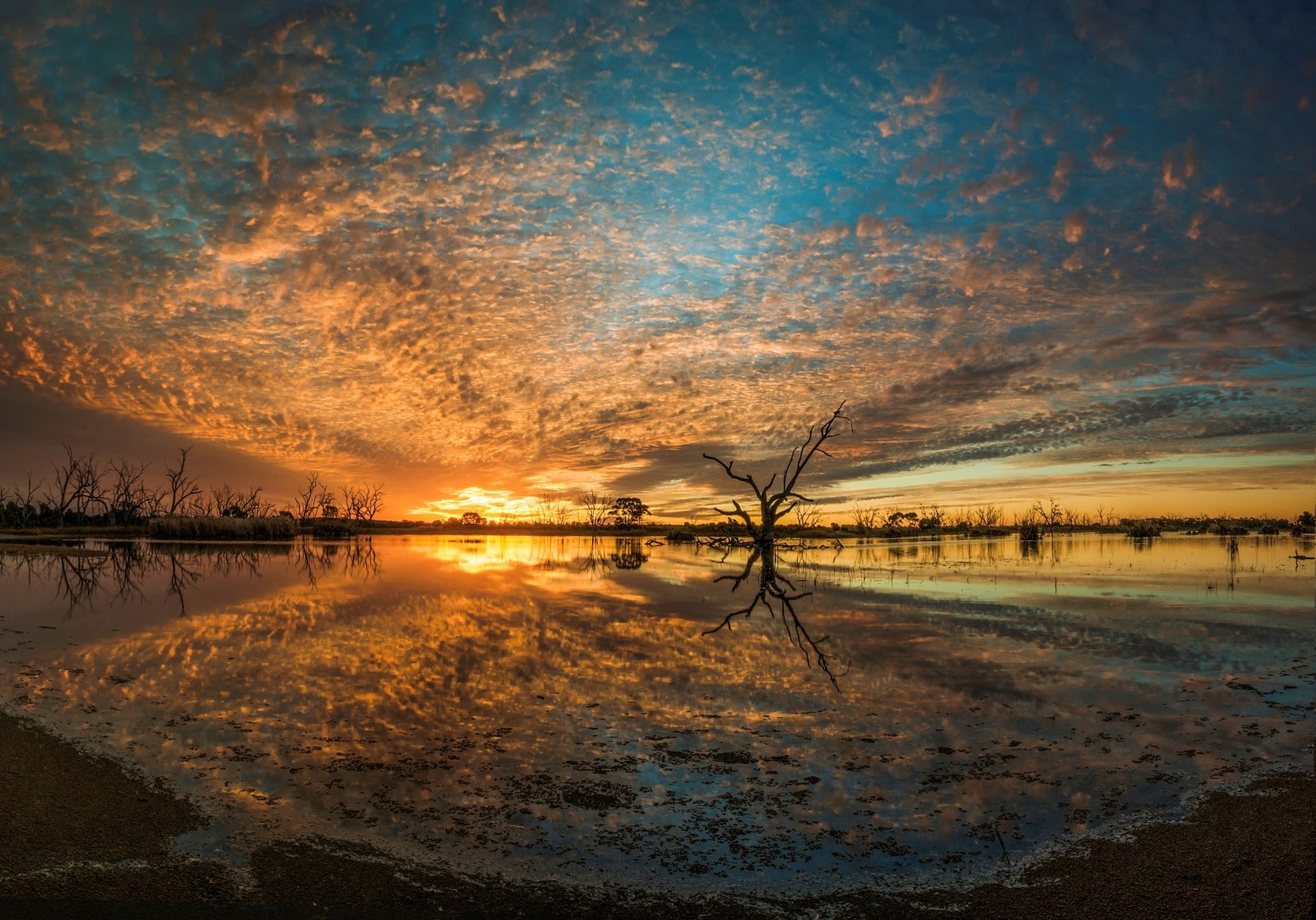 自然, 河, 日落, 景观, 澳大利亚, 坎贝尔的沼泽, 良安湖