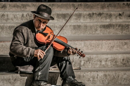 音楽, 音楽家, バイオリン