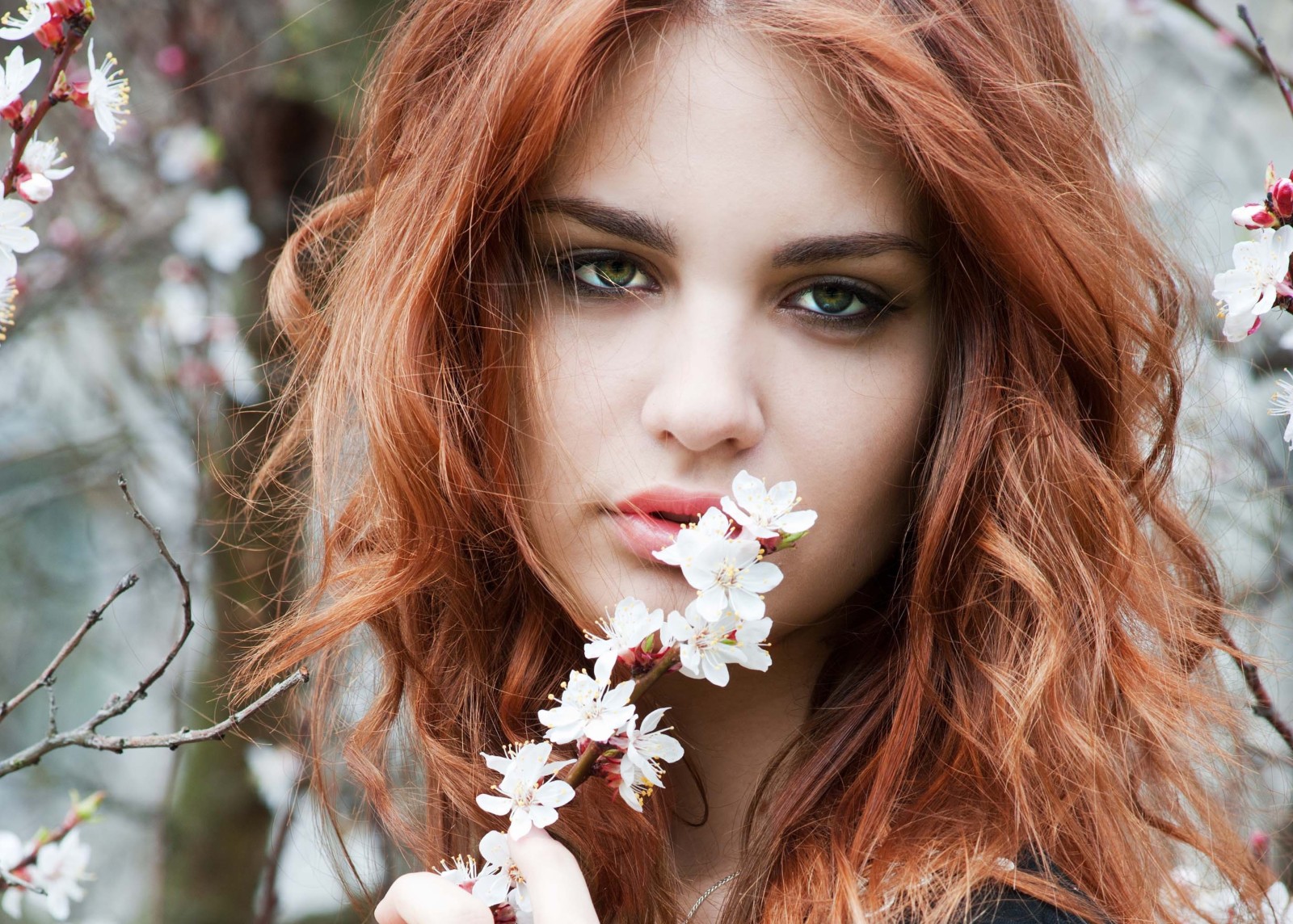 nhìn, con gái, mùa xuân, tóc, Cành cây, mắt xanh