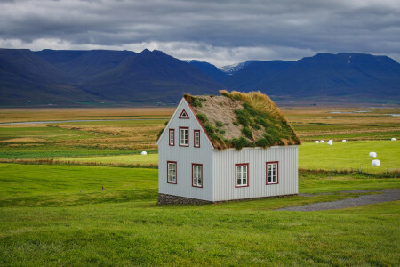 草, 家, アイスランド, 山, 自然, ルーフ, ソッドハウス