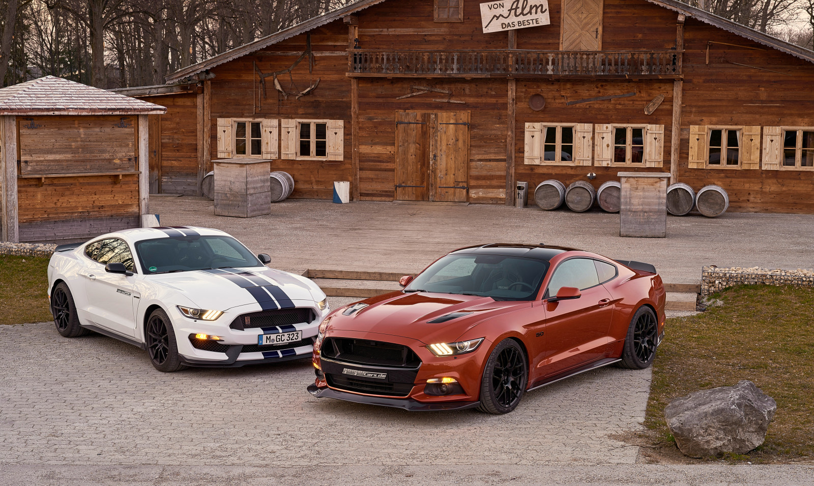 Mustang, Ford, Geiger