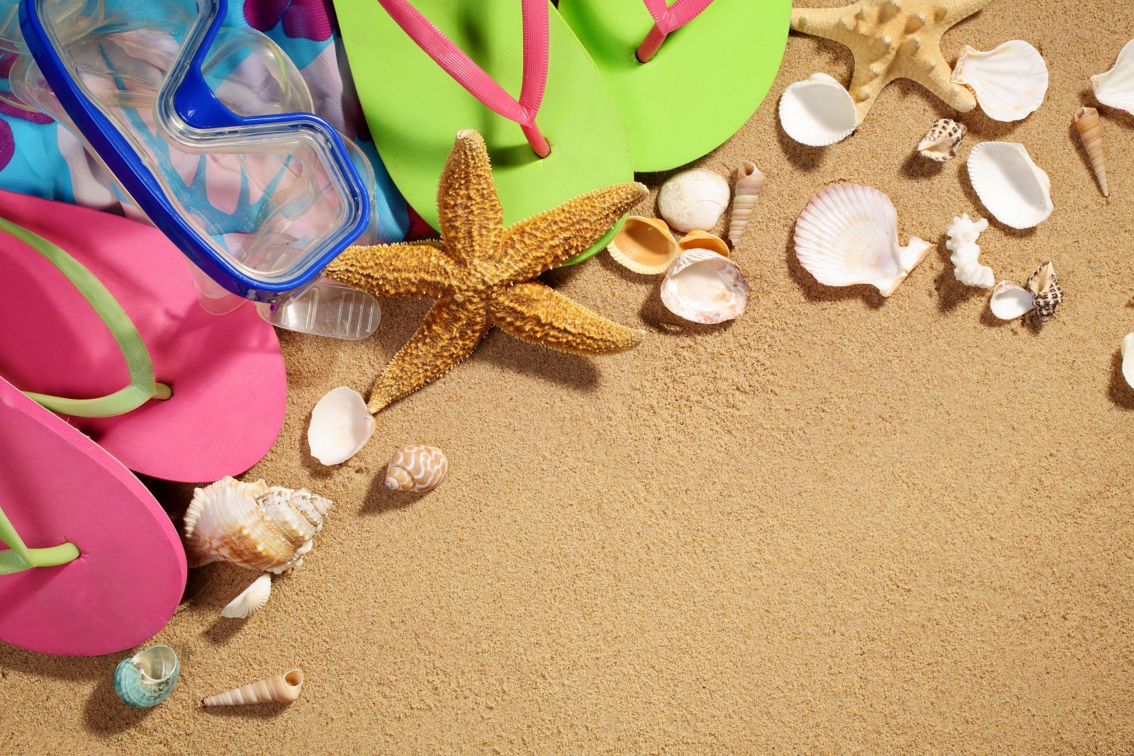 海, 砂, 贝壳, 面具, 海星, 板岩