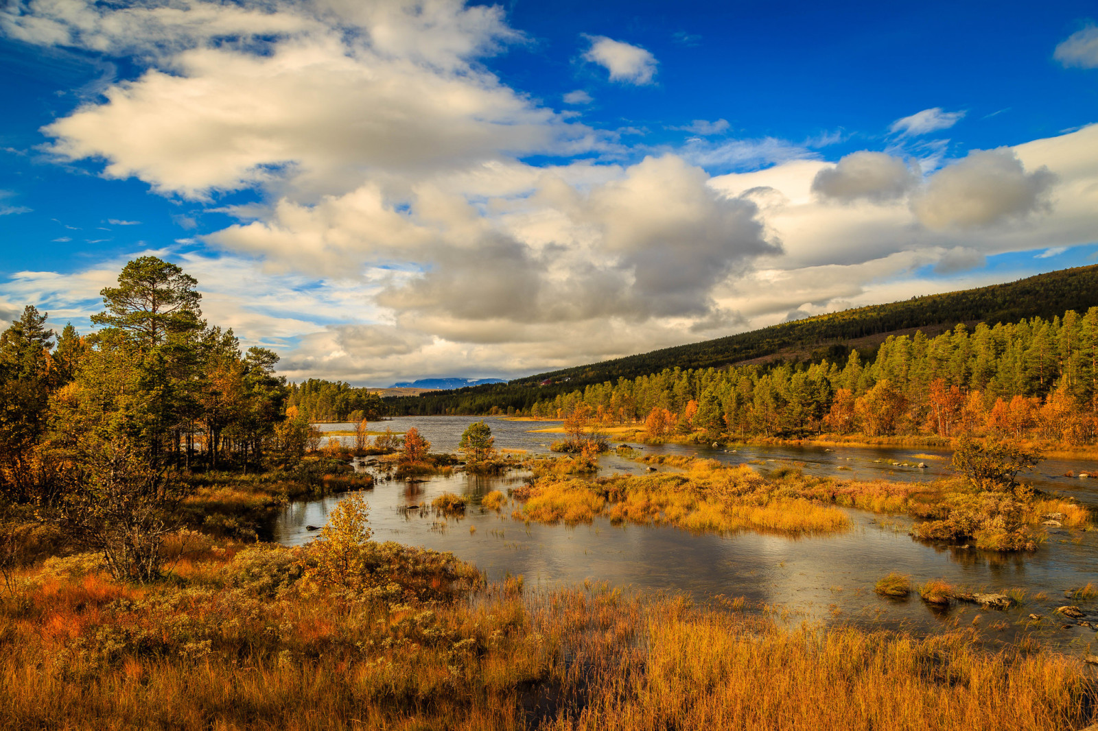 mùa thu, con sông, cây, những đám mây, núi, Na Uy