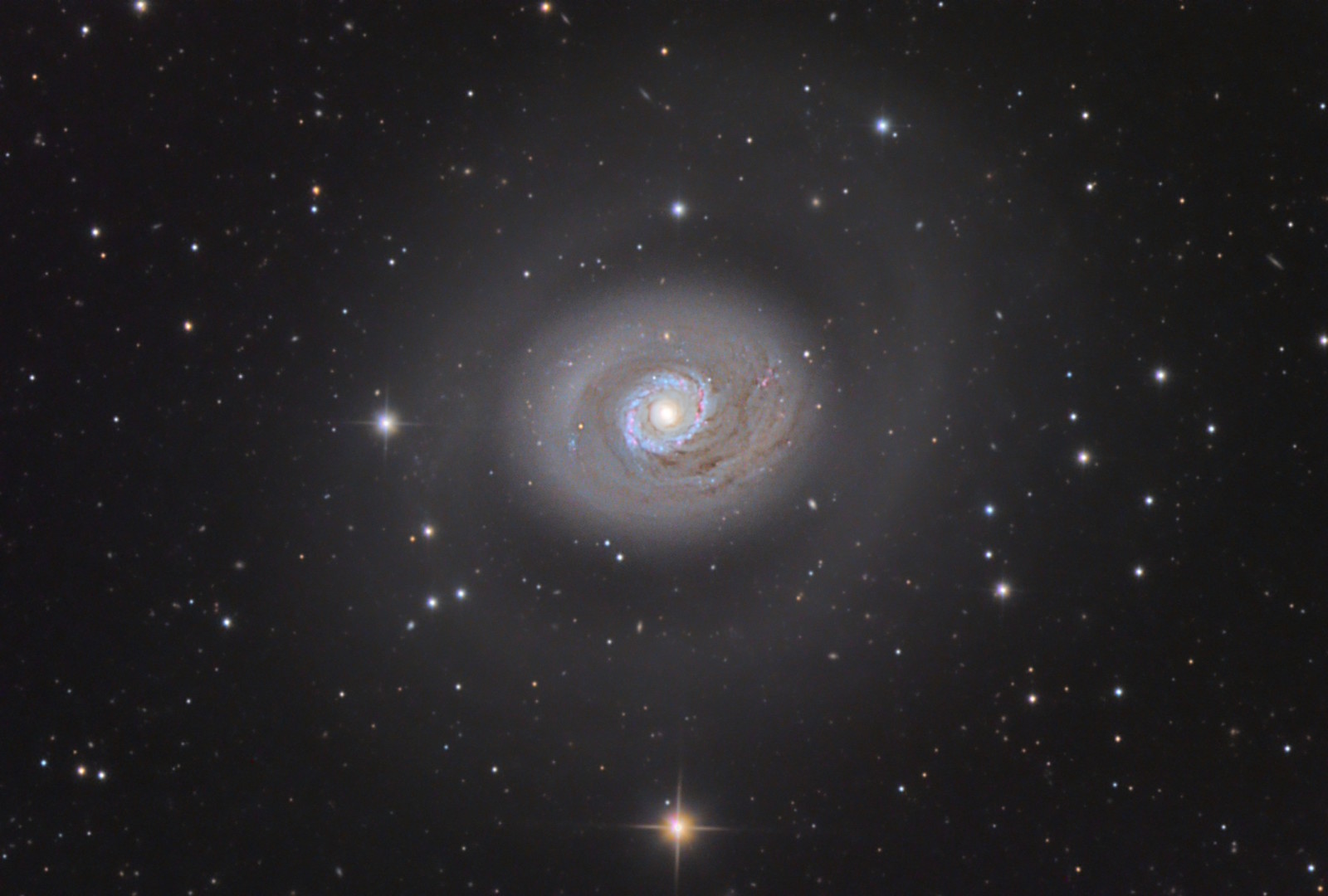 星系, 螺旋, 在星座中, 小猎犬狗, M94银河