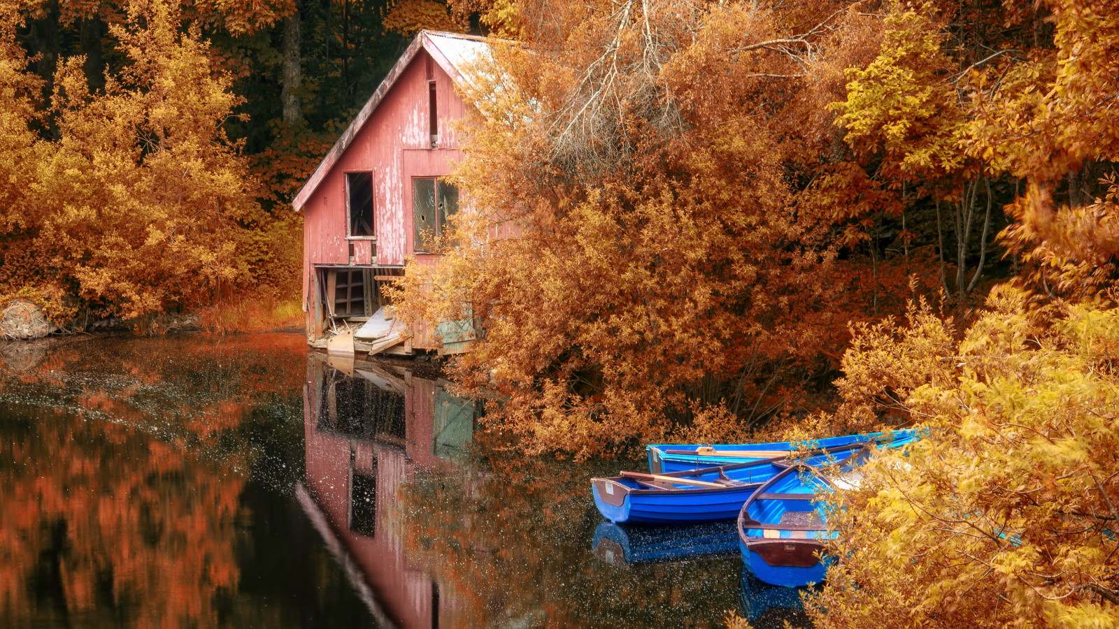musim gugur, alam, danau, pemandangan, Daun-daun, kapal