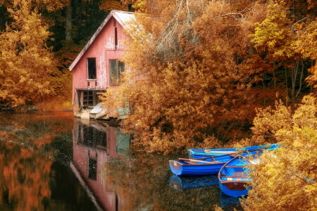 秋, ボート, 湖, 風景, 葉, 自然