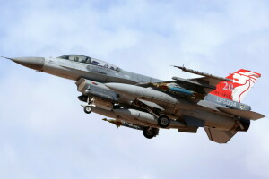 F-16D, 飛行機, 兵器
