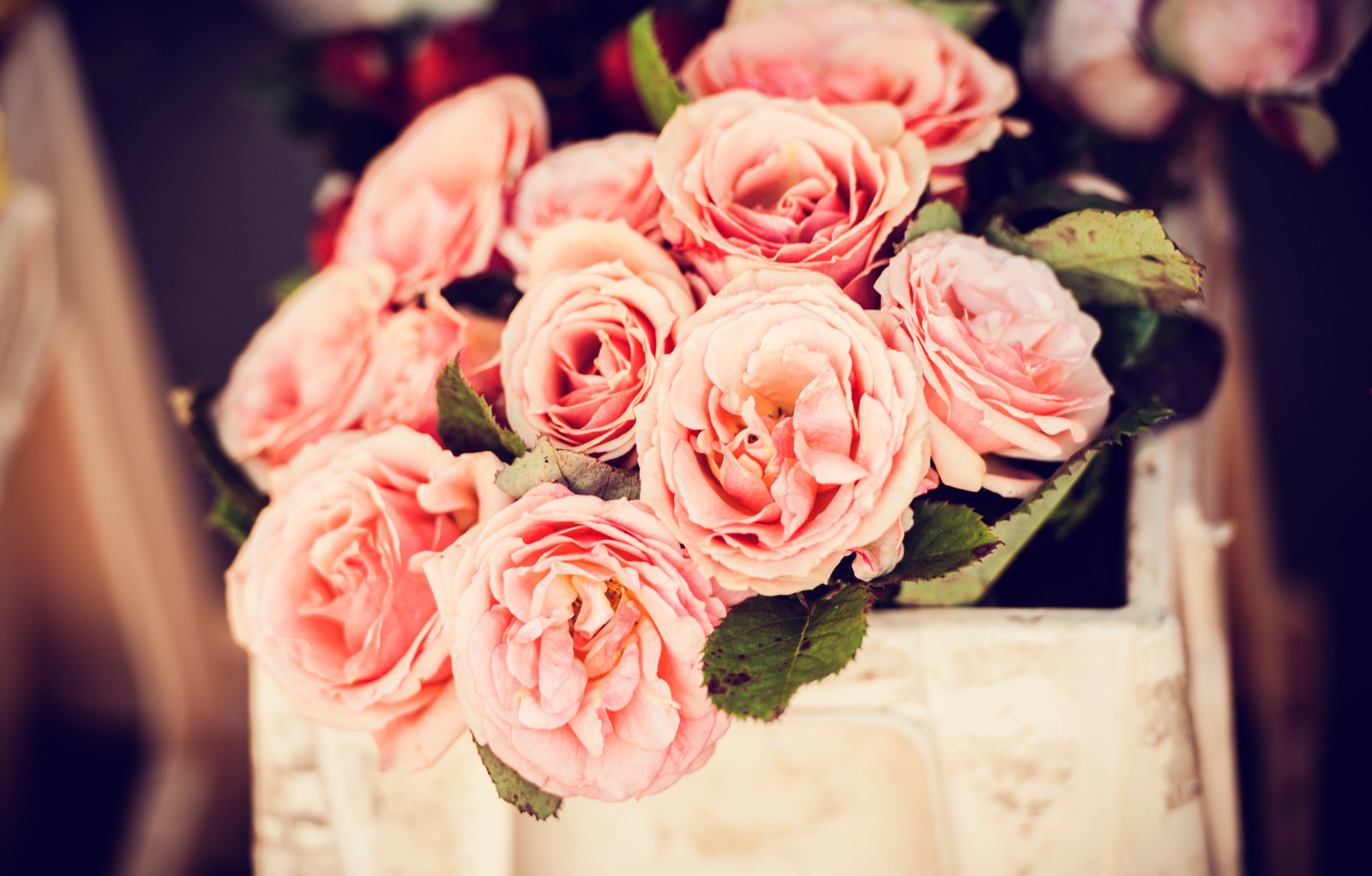 mawar, Merah Jambu, bunga-bunga, kelopak, tunas, keranjang