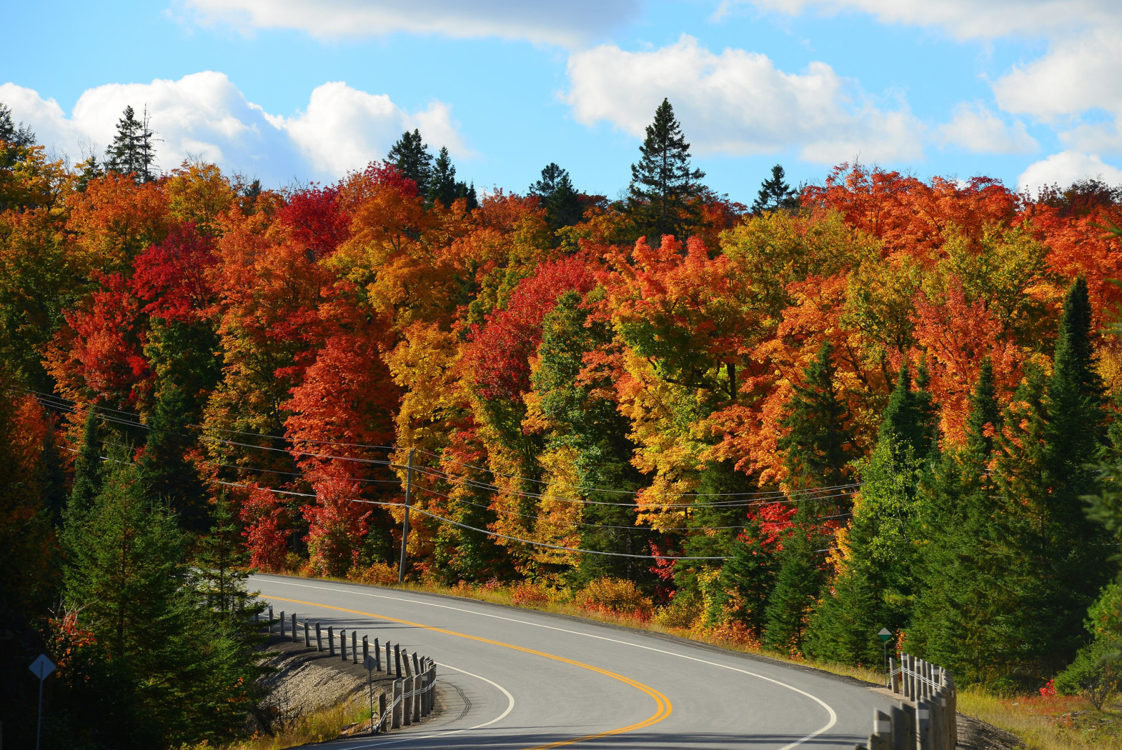 가을, 숲, 하늘, 도로, 나무, 구름