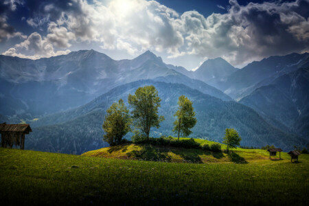 오스트리아, 구름, 숲, 빈터, 잔디, 푸성귀, HDR, 산