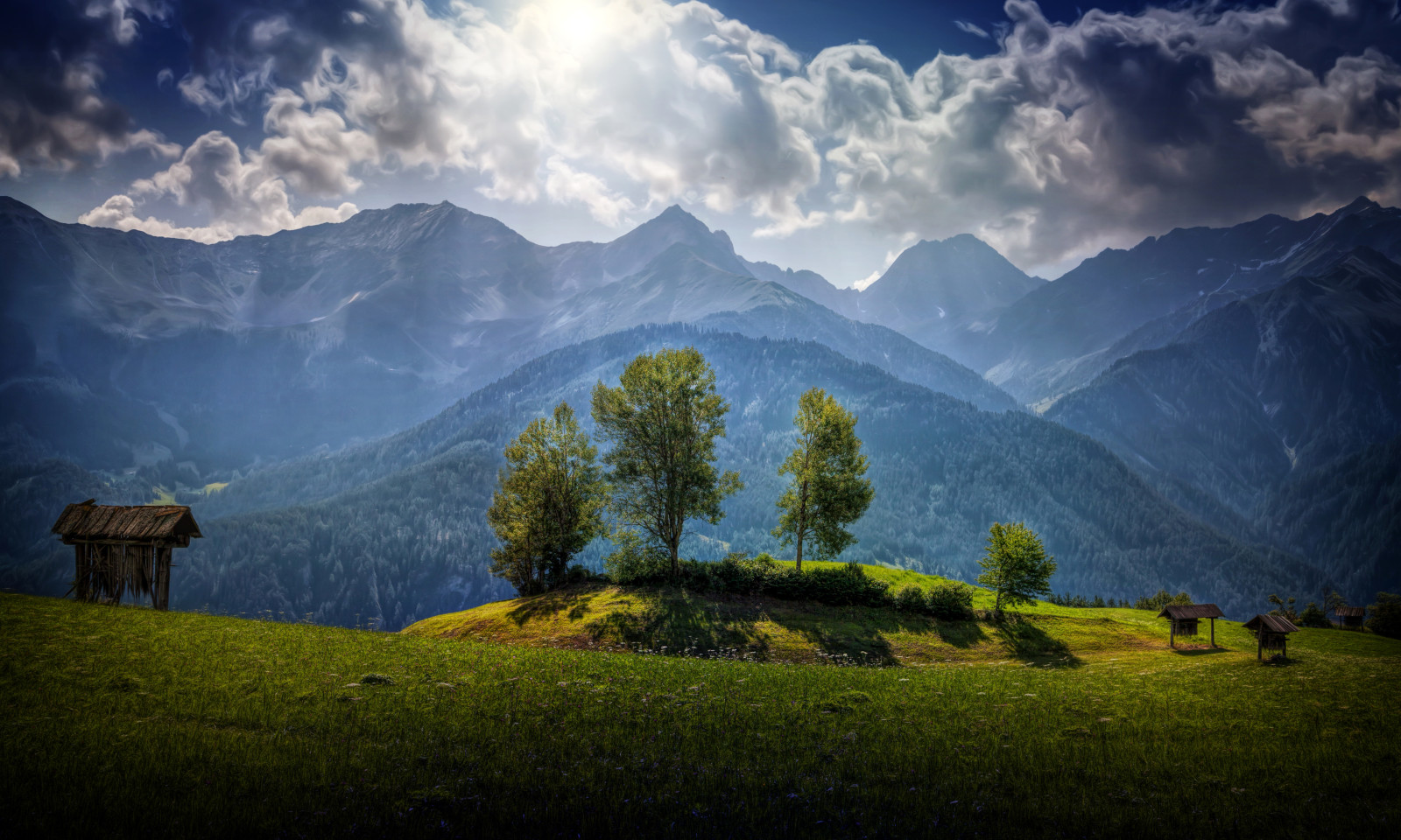 rừng, cỏ, cây, rau xanh, những đám mây, núi, glade, Áo