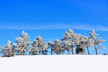 丘, 雪, 空, 木, 冬