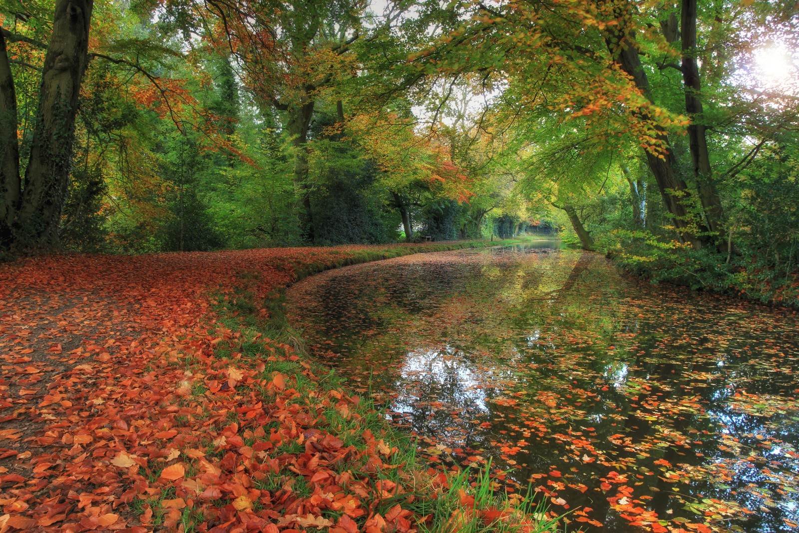 秋季, 公园, 河