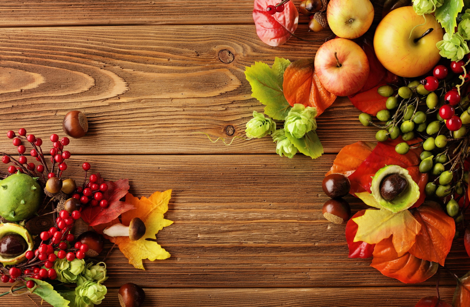 musim gugur, Masih hidup, Daun-daun, buah beri, apel, panen, buah