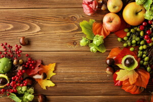 apel, musim gugur, buah beri, buah, panen, Daun-daun, Masih hidup
