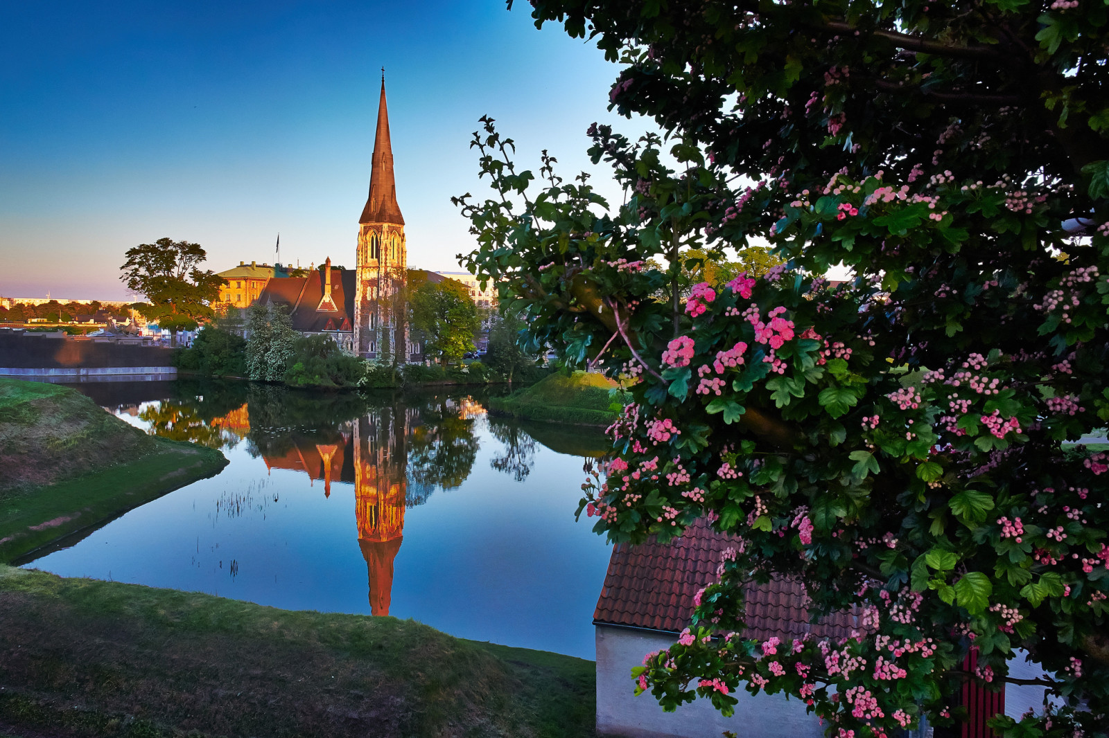 木, 川, 風景, 反射, 教会, デンマーク, コペンハーゲン, 聖オールバン教会