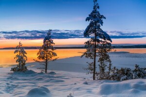 湖, 雪, 日落, 瑞典, 树木, 韦姆兰, Varmland County, 冬季