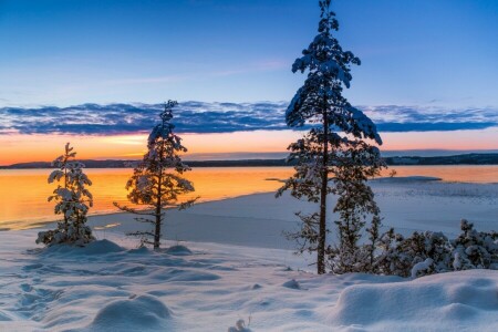 湖, 雪, 日没, スウェーデン, 木, ヴェルムランド, ヴェルムランド郡, 冬