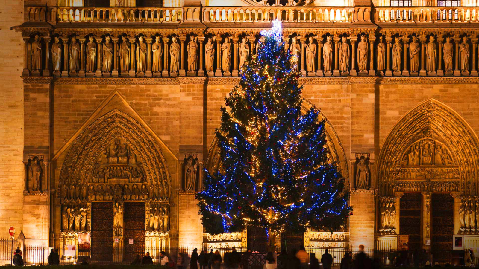 木, クリスマス, フランス, パリ, 大聖堂