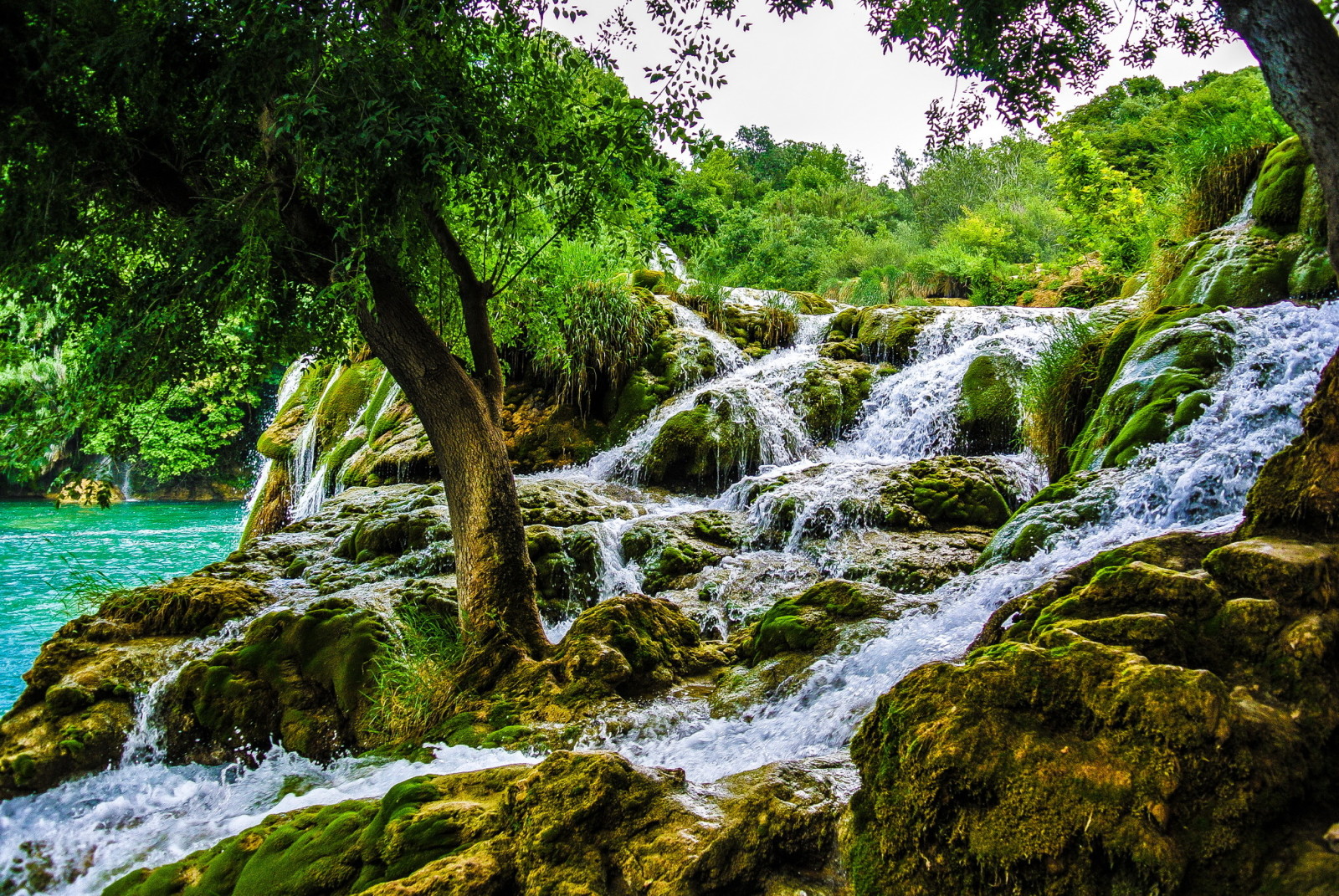 Thiên nhiên, công viên, thác nước, hình chụp, Croatia, Krka