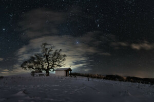 kapel, bidang, malam, salju, bintang, langit, pohon, musim dingin