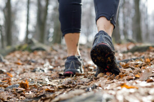 mùa thu, đi bộ ngoài trời, đang chạy, giày chạy bộ, đào tạo