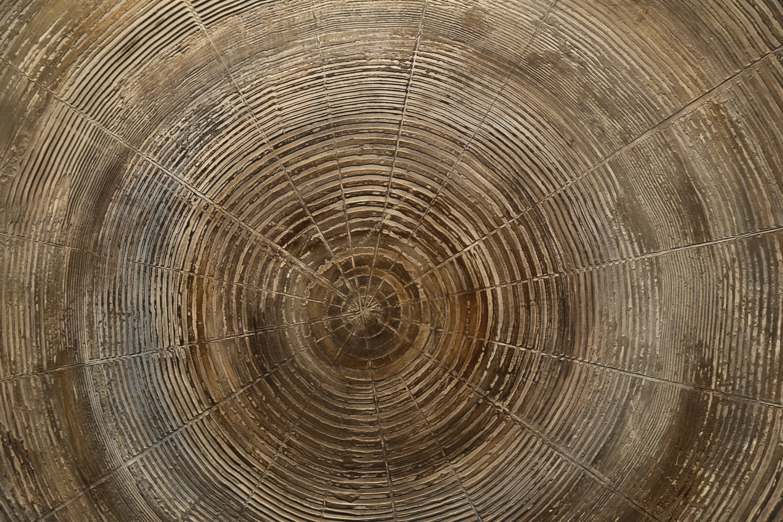 木材, サークル, 年輪