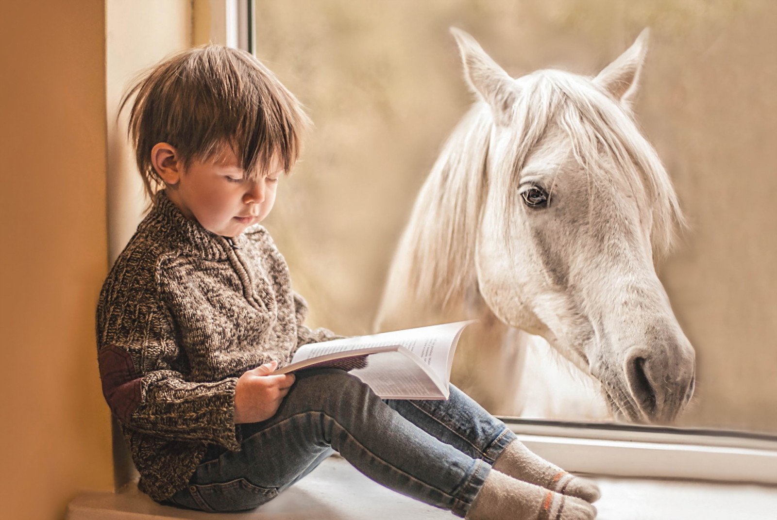 马, 书, 窗口, 男孩