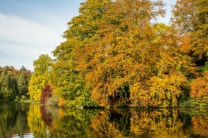 가을, 영국, 호수, 반사, 저장, 스 투어 헤드 가든, 나무, 윌트 셔