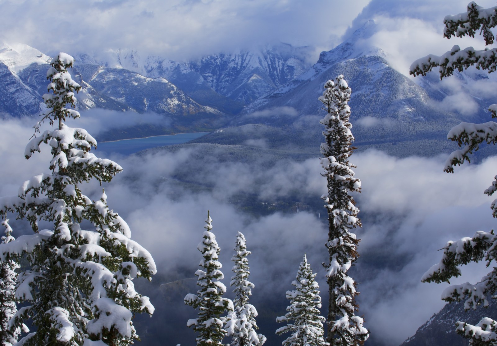 salju, danau, musim dingin, pohon, Kanada, Albert, Alberta, awan