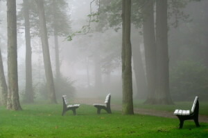 Băng ghế, sương mù, công viên, thành phố