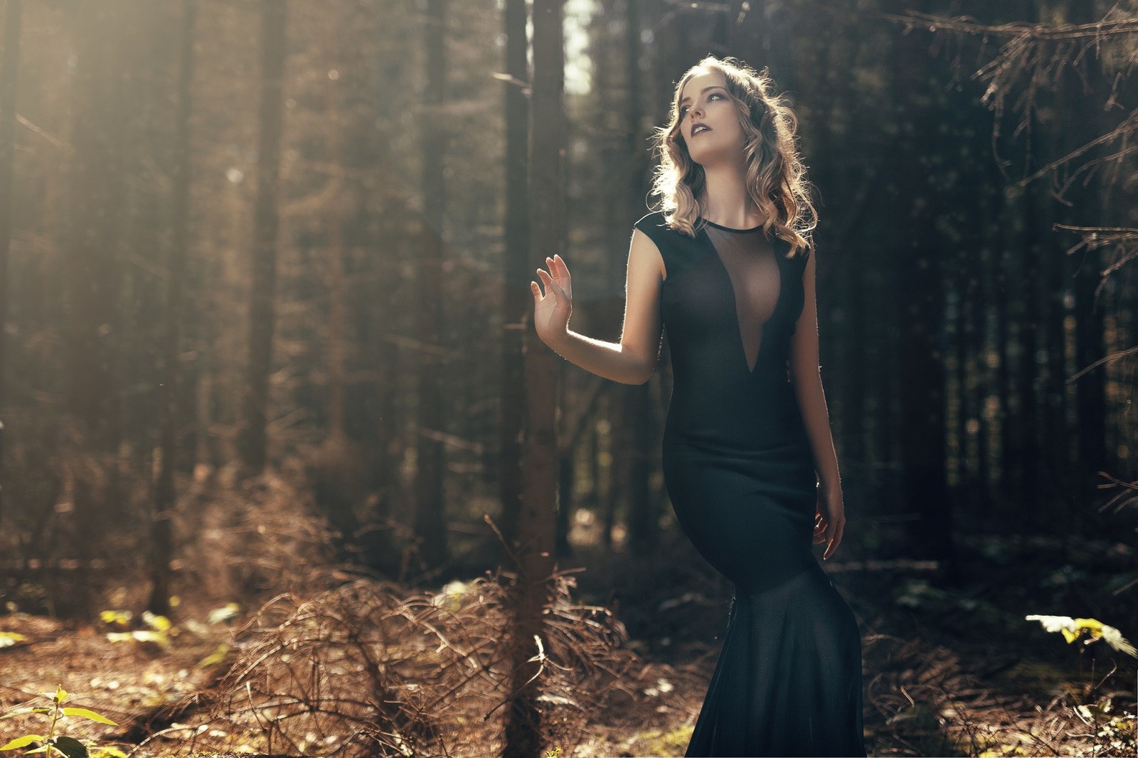 hutan, hitam, gadis, model, gaun, rambut coklat, Nathan Photography, Tonny Jorgensen